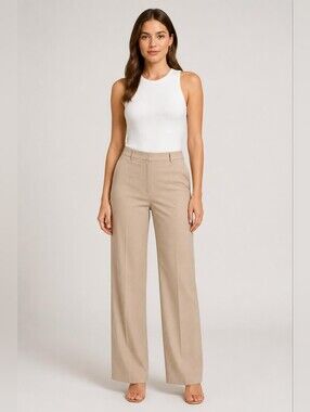 Anne Taylor Loft Marisa Trouser Classic Wide Leg in Tan